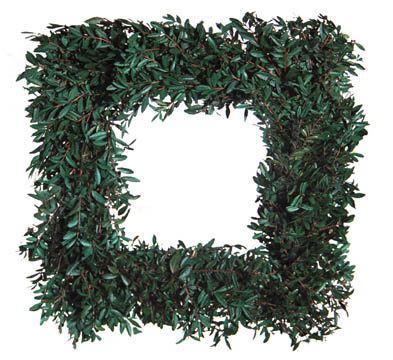 16" Preserved Boxwood Frame